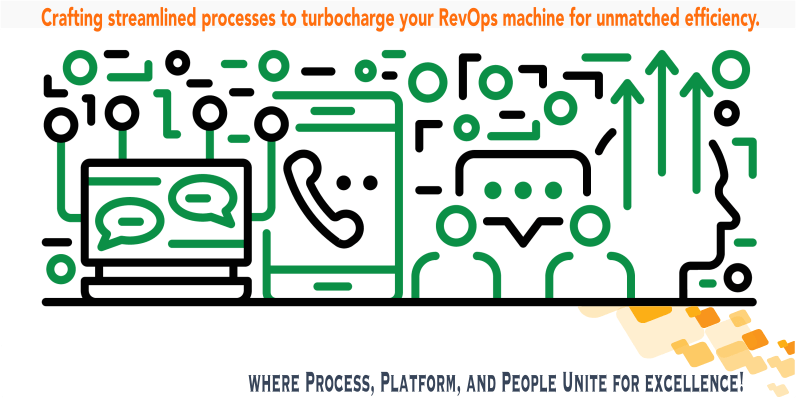 The Process Consultant by Fruition RevOps